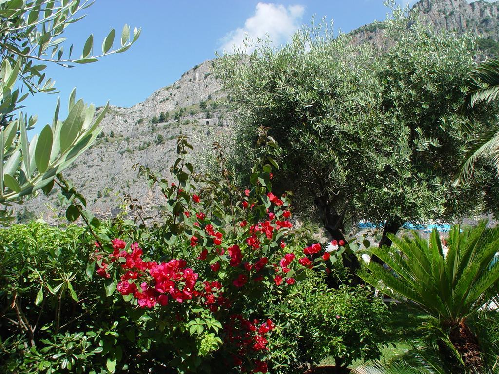 Hotel Gabbiano Maratea Dış mekan fotoğraf